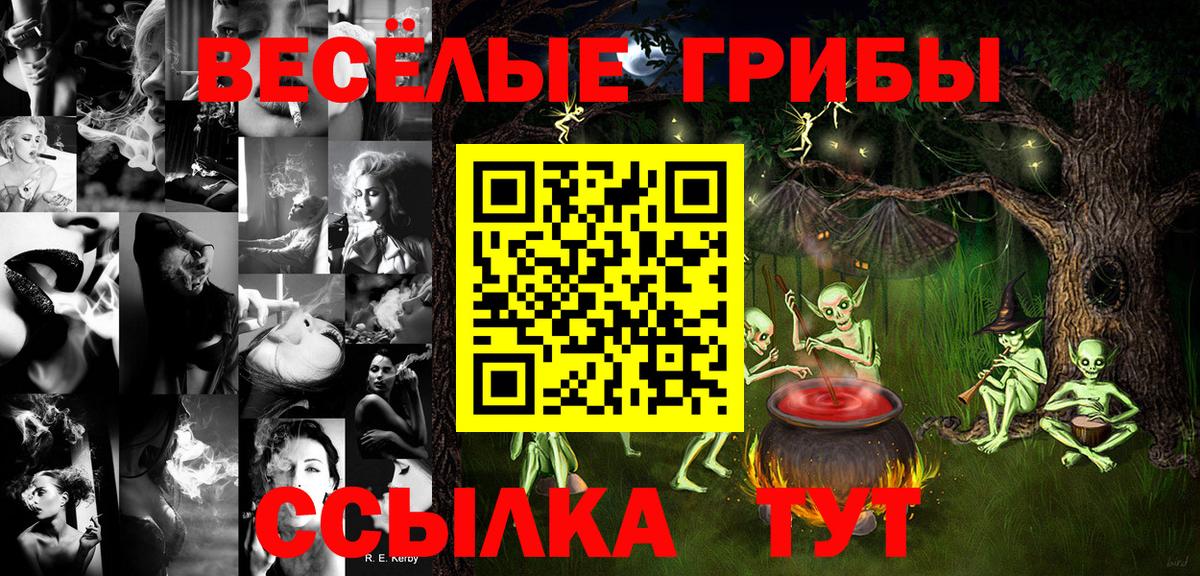 Галлюциногенные грибы мухоморы  купить  цена  Новосибирск  Вход с VPN 