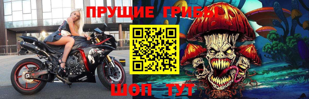 где купить наркотик  Новосибирск  Галлюциногенные грибы Psilocybine cubensis 