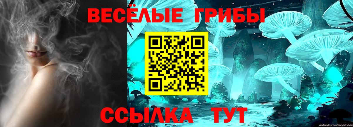 Псилоцибиновые грибы Новосибирск